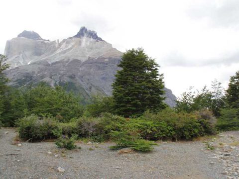 Los Cuernos, Torres del Paine
