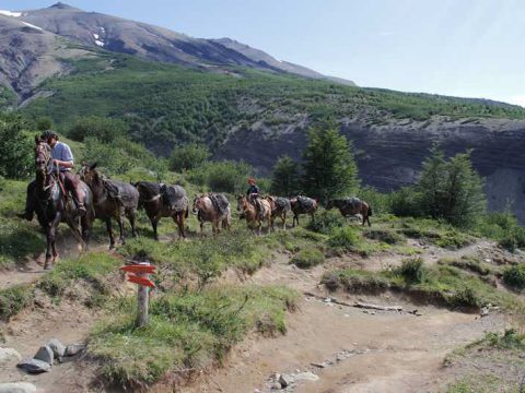 Mantimentos e outros itens essenciais são levados a cavalo aos refúgios El Chileno e Los Cuernos, Torres del Paine