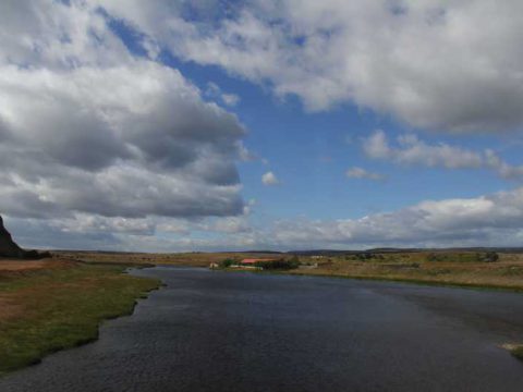 Paisagem entre Punta Arenas e Puerto Natales