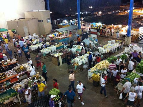 Feira livre em Palmas