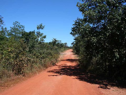 Estrada do Jalapão