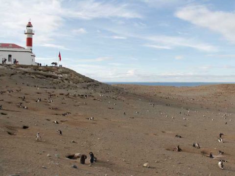 O farol é o ponto mais alto da Isla de Magalhães
