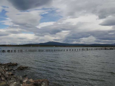Puerto Natales