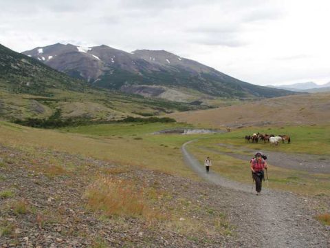 A caminho do Refúgio Los Cuernos, depois de sair do El Chileno, Torres del Paine