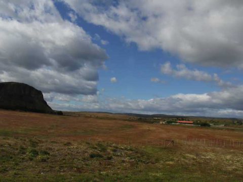 Paisagem entre Punta Arenas e Puerto Natales