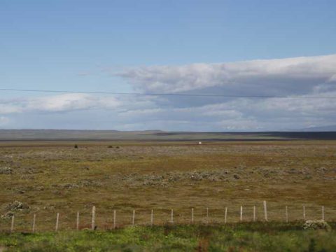 Paisagem entre Punta Arenas e Puerto Natales