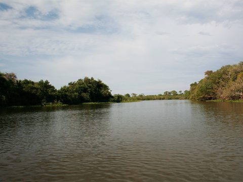 Rio Claro