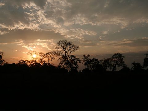 Meu primeiro por do sol no Pantanal