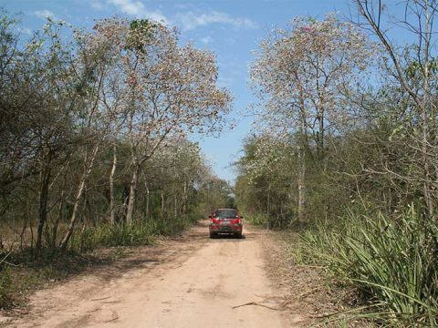 Toda a viagem foi feita nessa Palio Adventure