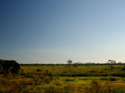 Paisagem do Pantanal na BR-262, saíde de Corumbá