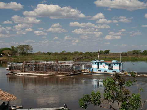 Balsa para transportar gado no Rio Paraguai