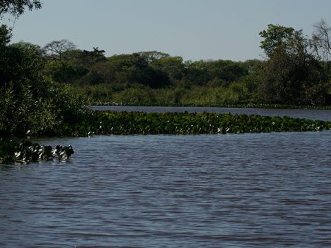 Rio Vermelho