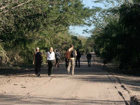 Caminhada na estrada-parque do Pantanal de Mato Grosso do Sul