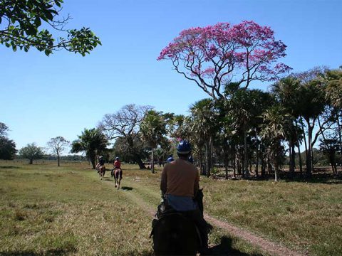 Cavalgada na fazenda
