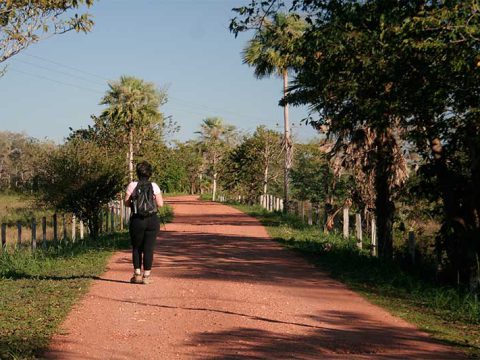 Estradinha entre o hotel e a estrada-parque do Pantanal de Mato Grosso do Sul