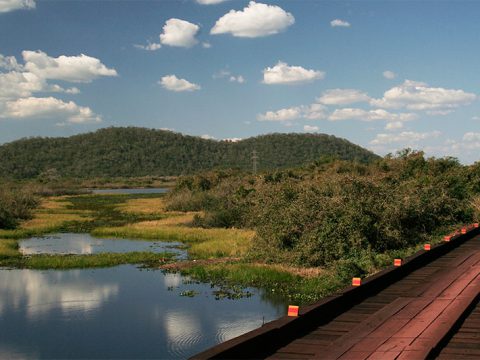 Paisagem na estrada-parque do Pantanal de Mato Grosso do Sul