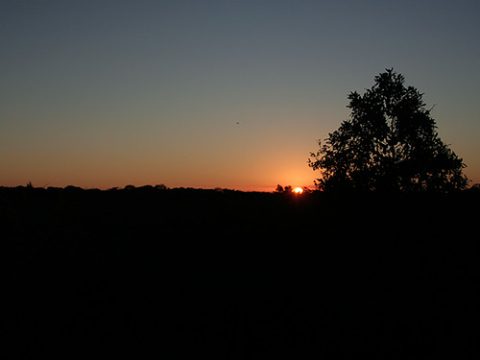 Por do sol na estrada-parque do Pantanal de Mato Grosso do Sul