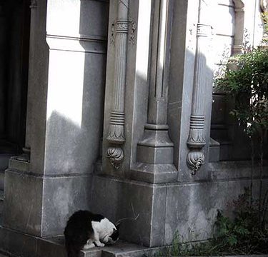Cemitério da Recoleta