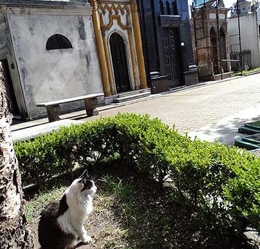 Cemitério da Recoleta