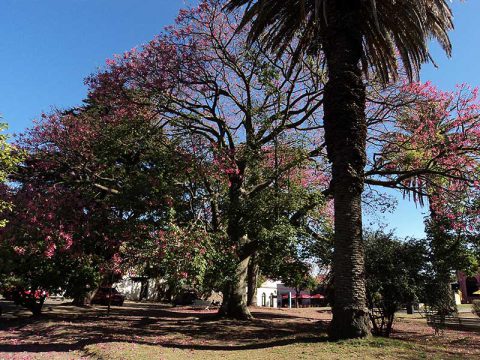 Aspectos da cidade