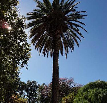 Aspectos da cidade