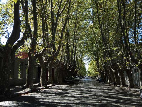 Aspectos da cidade