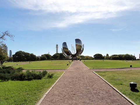 Floralis generica ou flor gigante