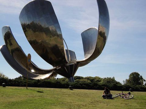 Floralis generica ou flor gigante