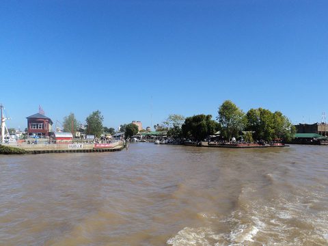 Tigre