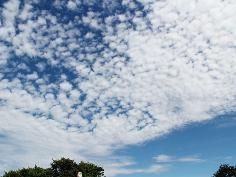 Belo céu sobre o pantanal