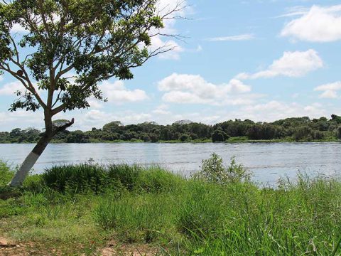 Rio Cuiabá em Porto Jofre