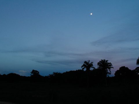 Quase lua cheia