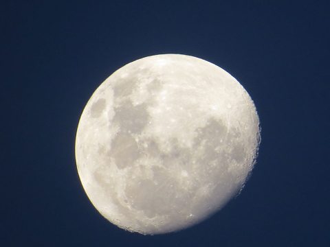 Lua quase cheia no pantanal