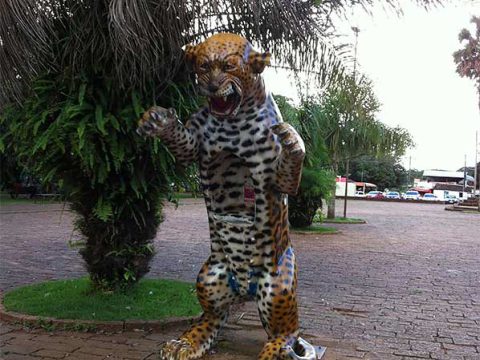 Orelhão temático