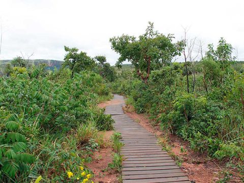 Parte da trilha que leva à Cachoeira Véu de Noiva
