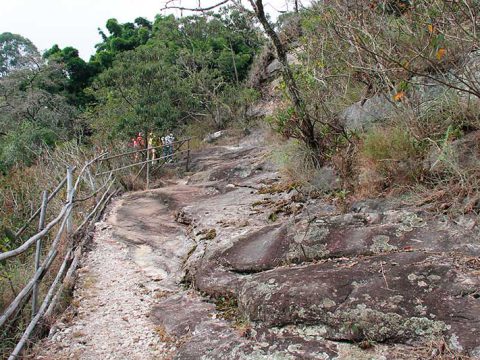 Pedra Pintada, Cocais