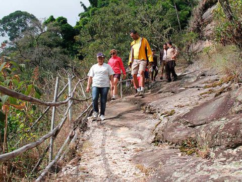 Pedra Pintada, Cocais