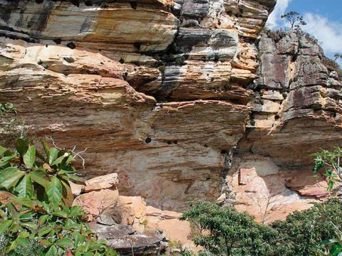 Pedra Pintada, Cocais