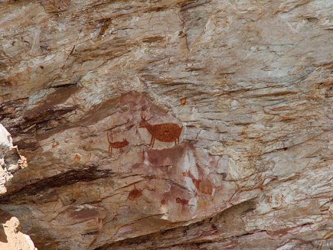 Pedra Pintada, Cocais