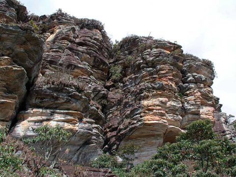 Pedra Pintada, Cocais