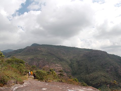 Pedra Pintada, Cocais