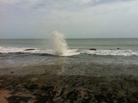 Suspiro da baleira na Praia de Tourinhos, São Miguel do Gostoso