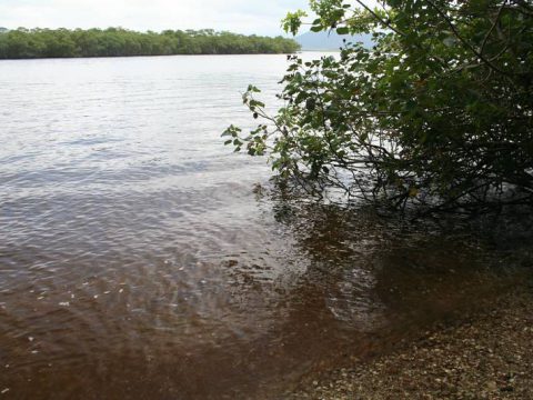 Praia de conchinhas na entrada para a Cachoeira Grande