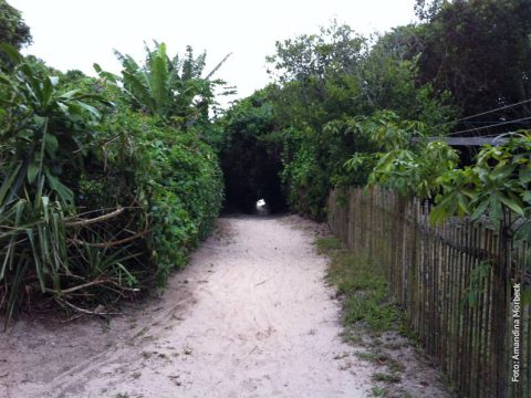 Caminho para a praia