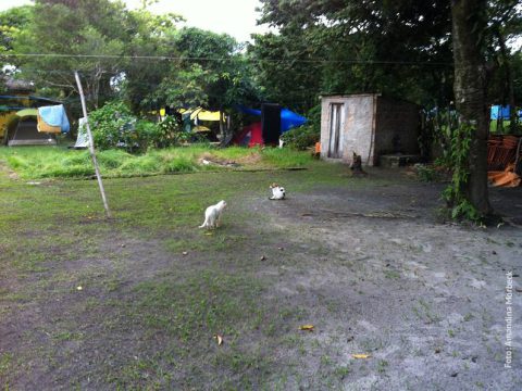 Com ou sem turistas, a vida é tranquila no Marujá