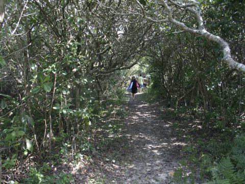 A caminho da praia