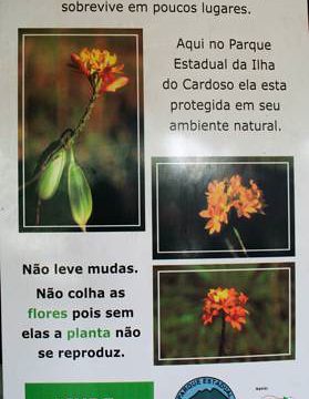 Preservar é preciso, sempre