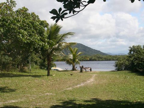 Verde e beleza para todos os lados