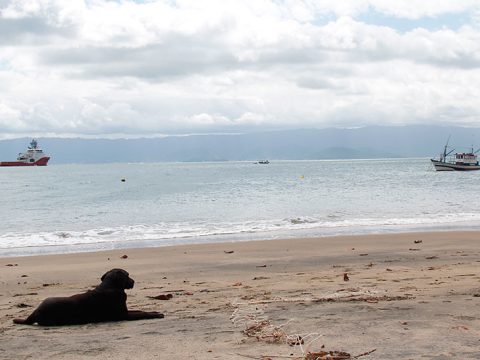 Praia da Armação