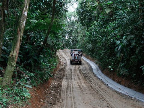 Na estrada-parque